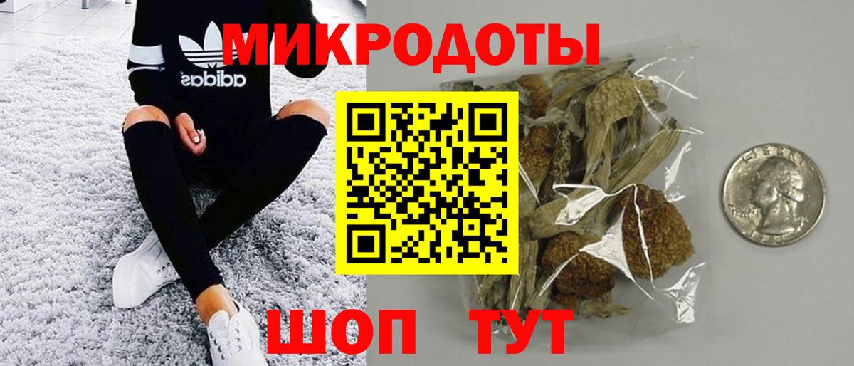 цена   Псилоцибиновые грибы мицелий  Вход с VPN  Псилоцибиновые грибы ЛСД  Кондопога 